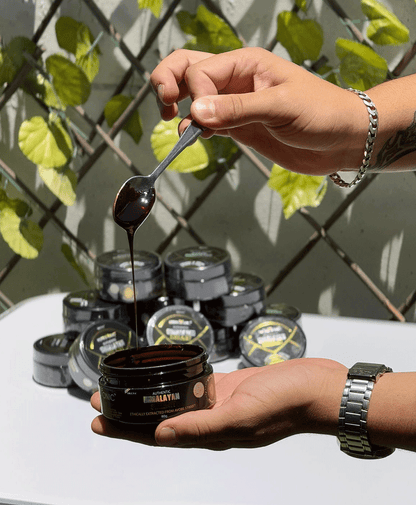 Shilajit Himalaya Original 80g – Resina Pura con 85+ Minerales y Ácido Fúlvico